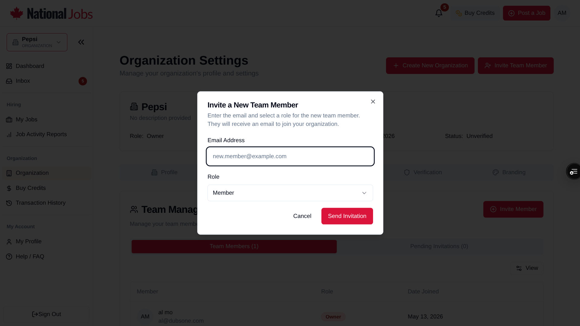 The Invite a New Team Member modal with email field and role dropdown